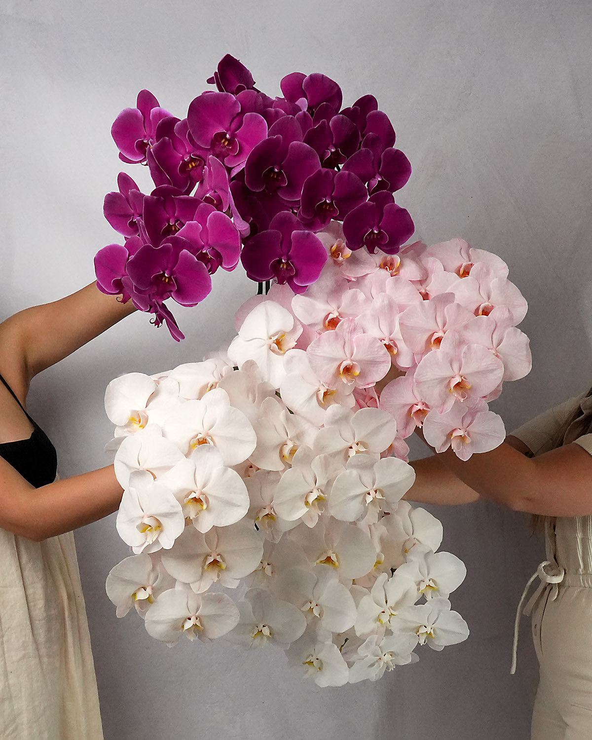 Luxe Blooms