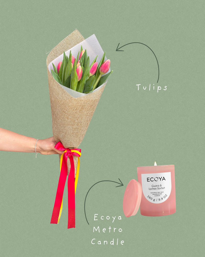 Tulip Bundle