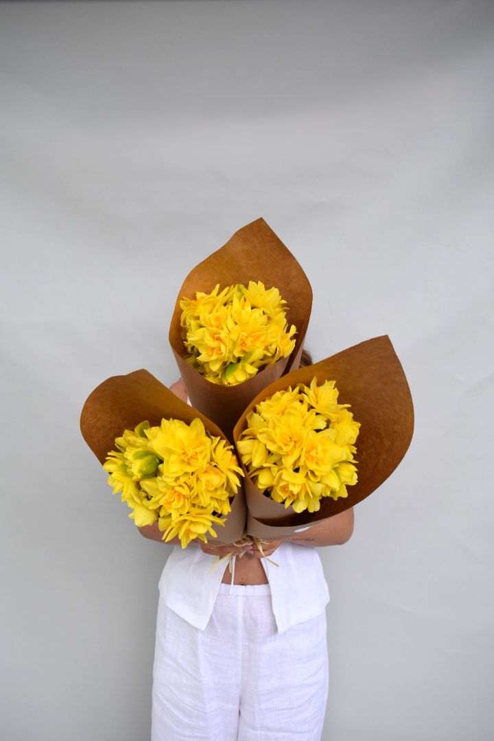 Double Daffodils