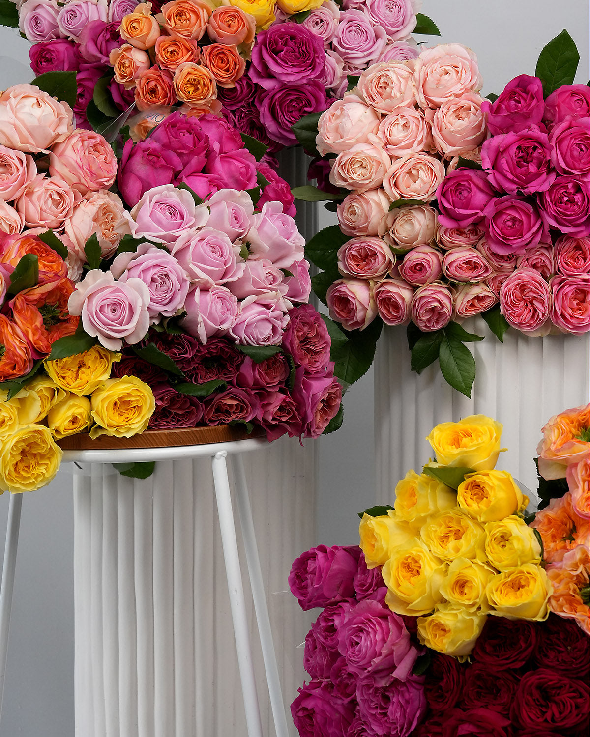 54 Roses Classic Grandiflora Roses – Geelong Flower Farm