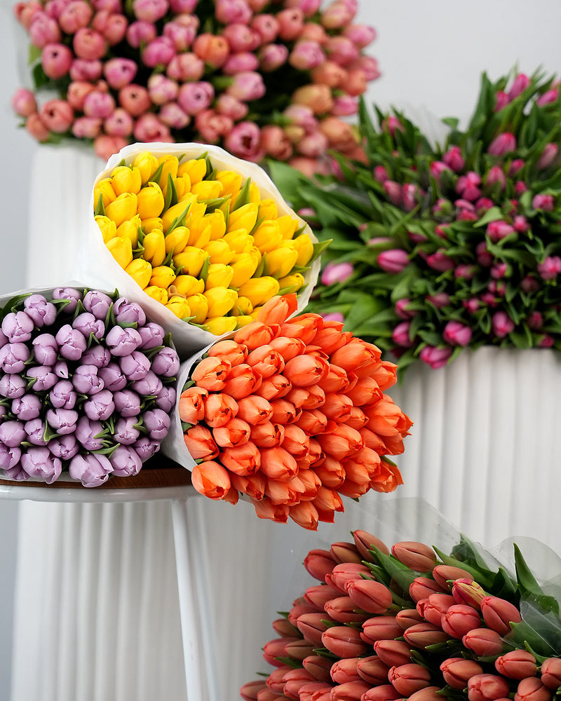 Tulips