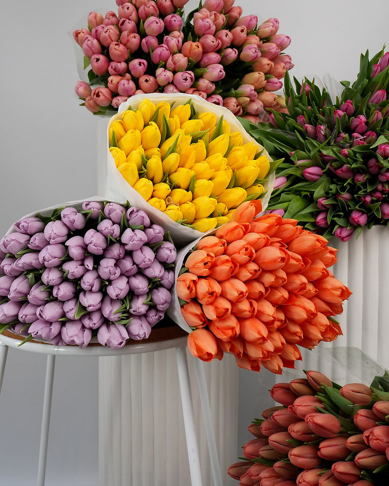 Tulips