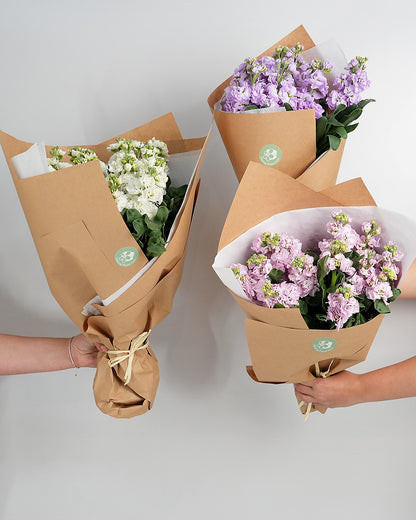 Stock