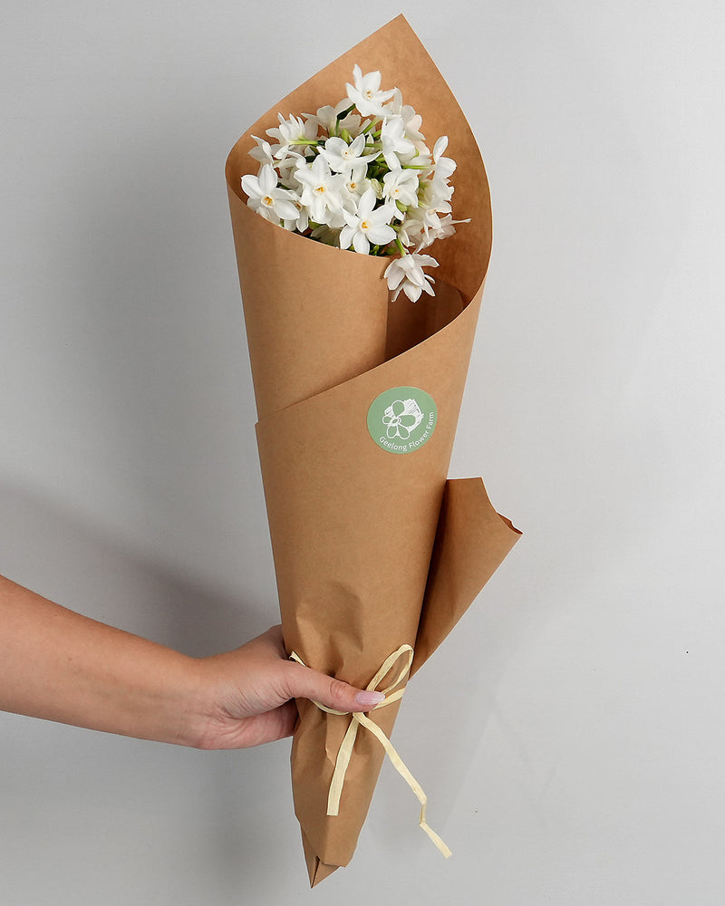 Paper Whites