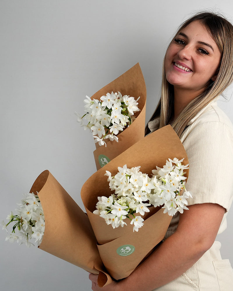 Paper Whites