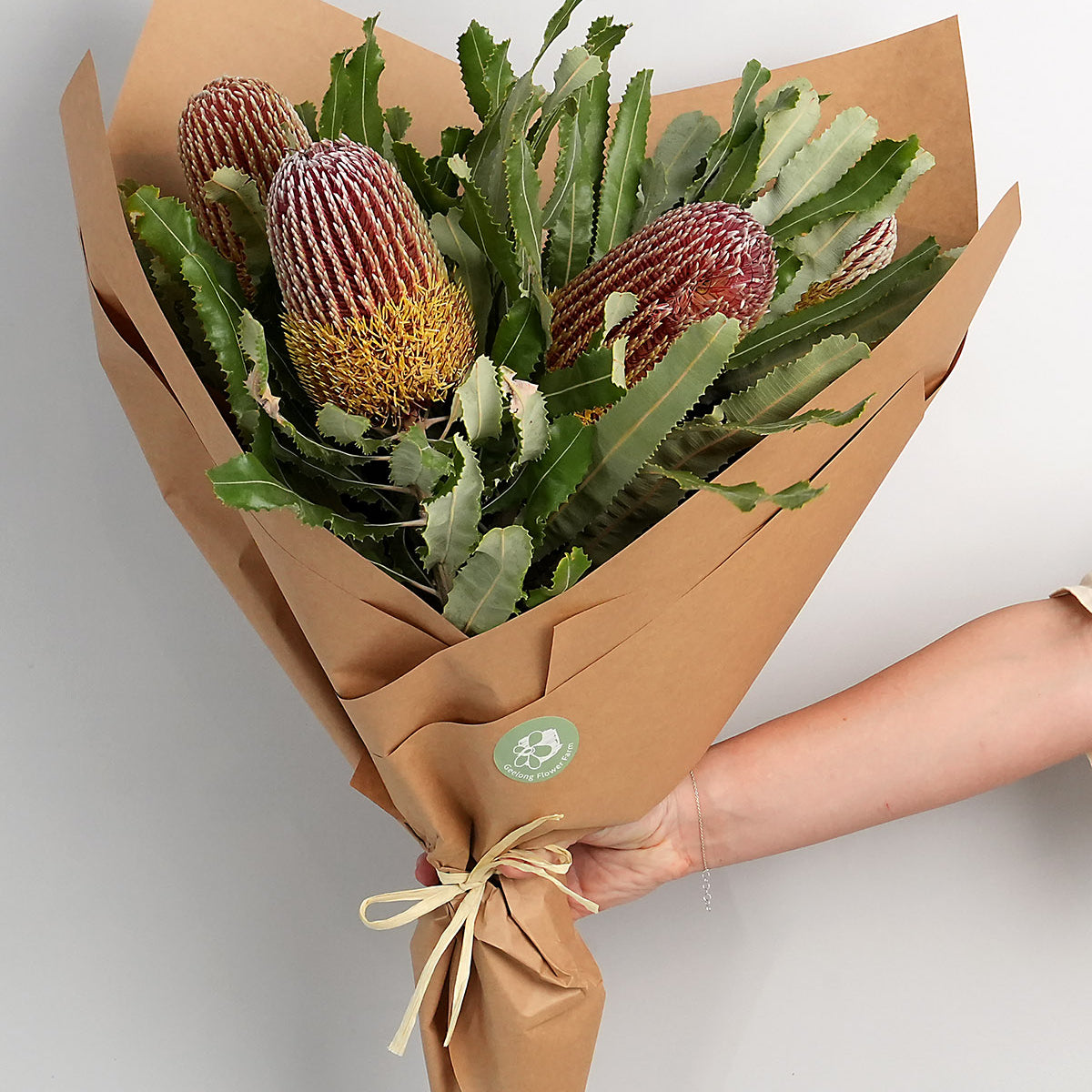 Banksia