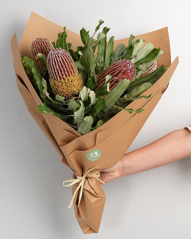 Banksia