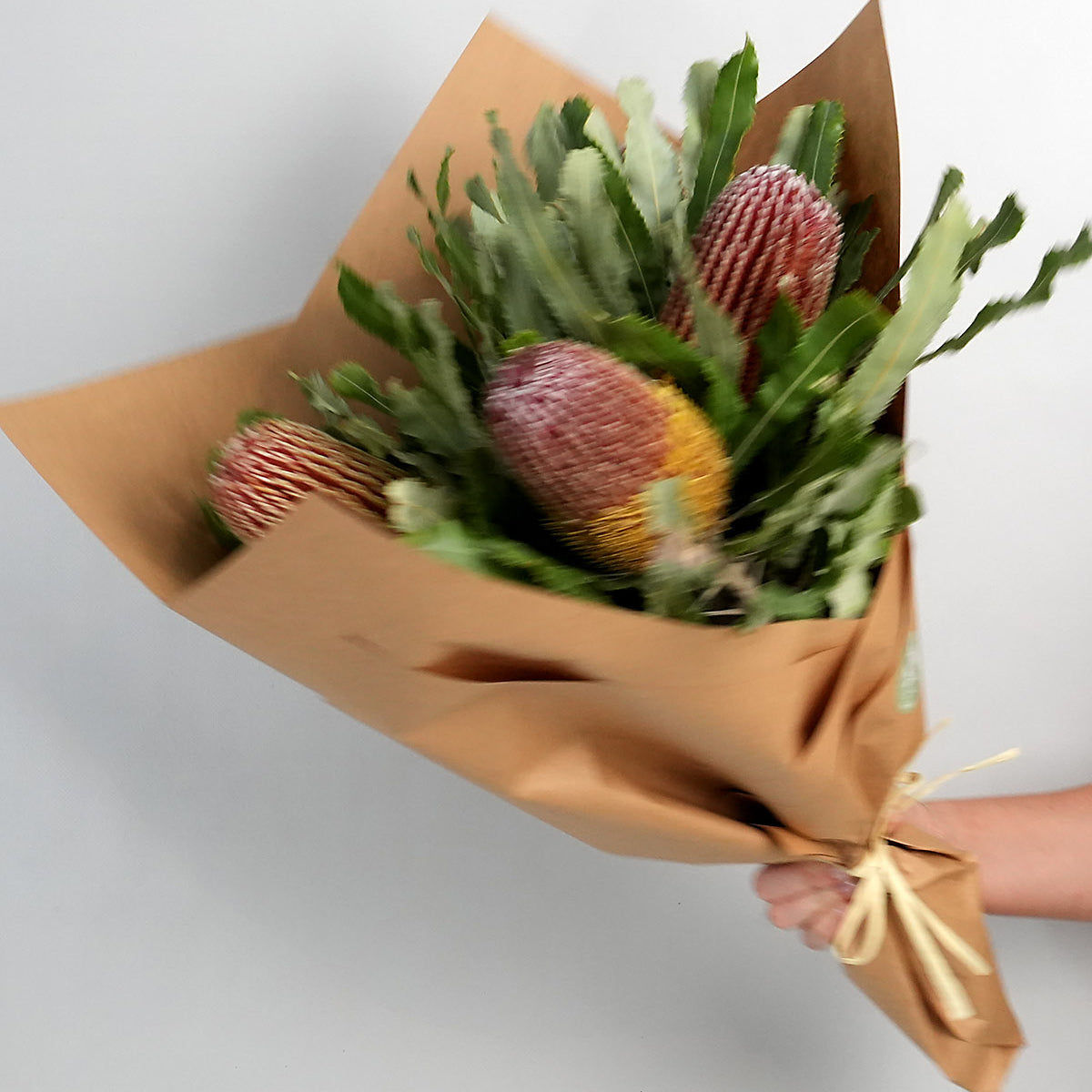 Banksia