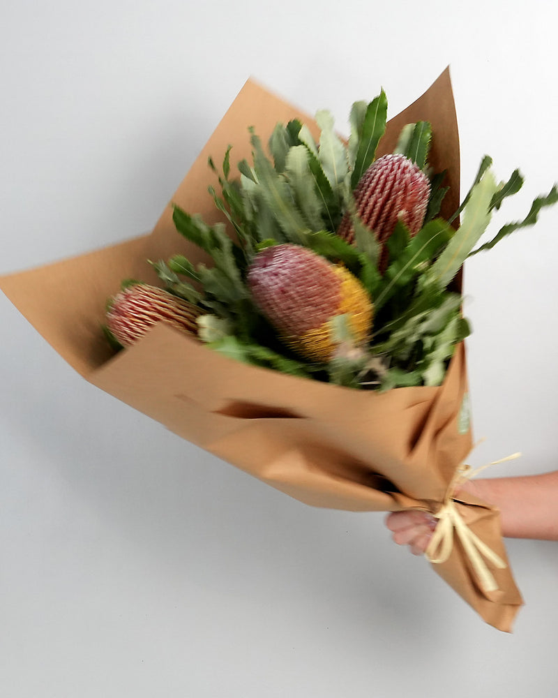 Banksia