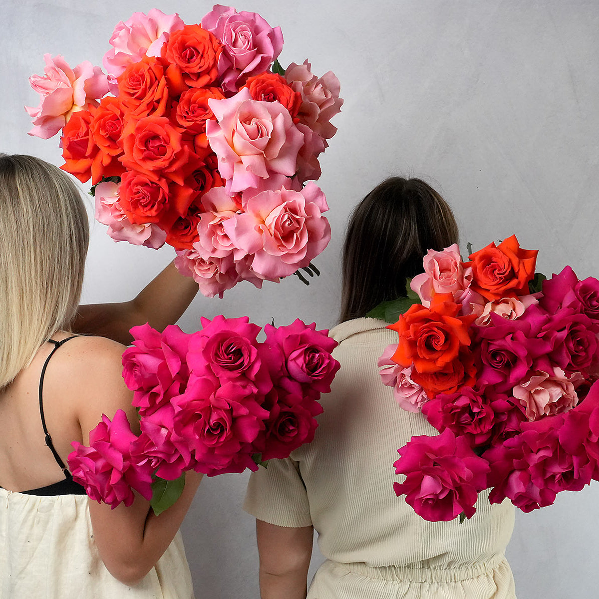 Reflexed Roses
