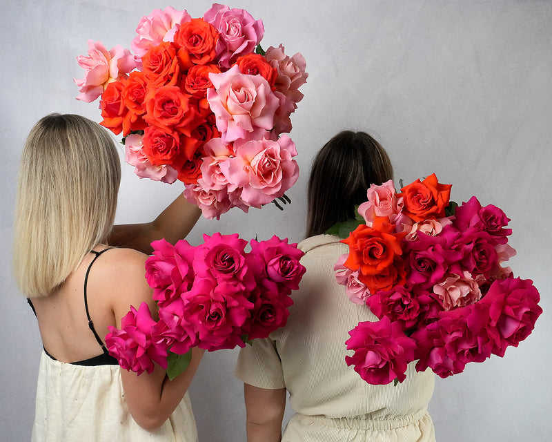 Reflexed Roses