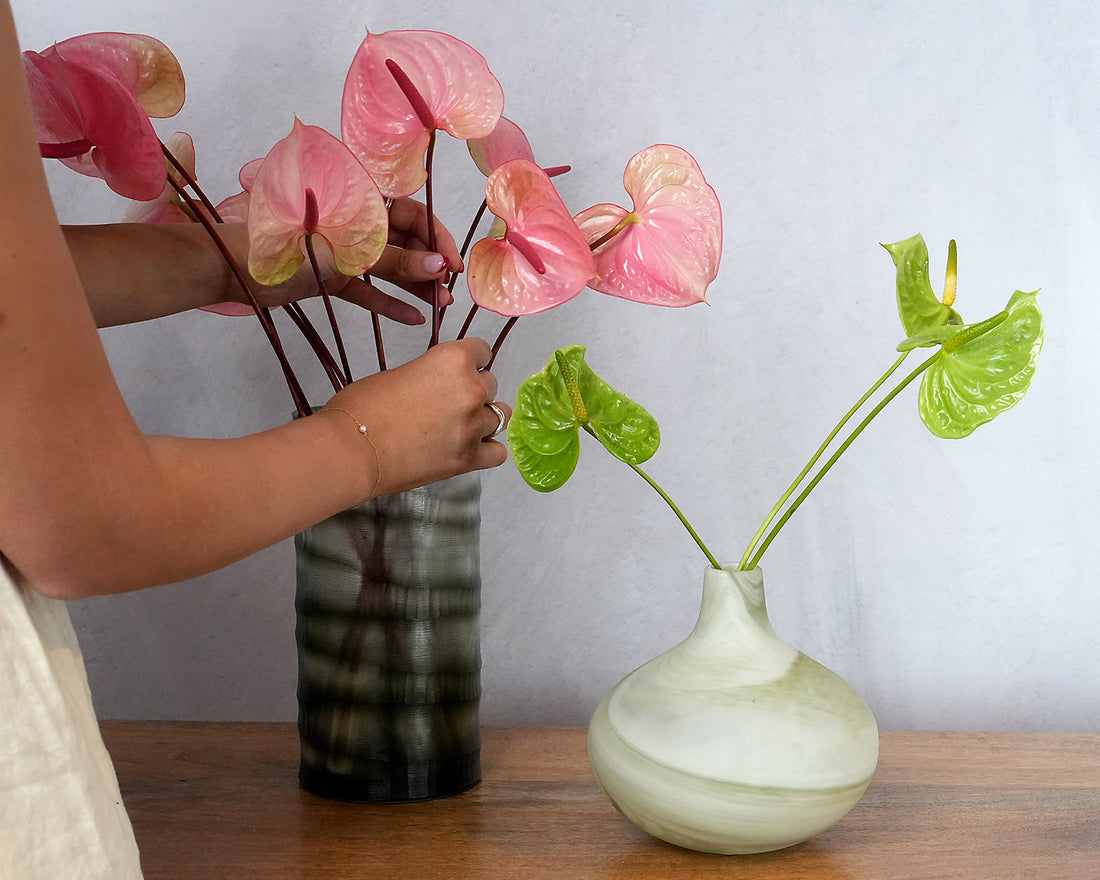Anthurium stems Geelong Flower Farm