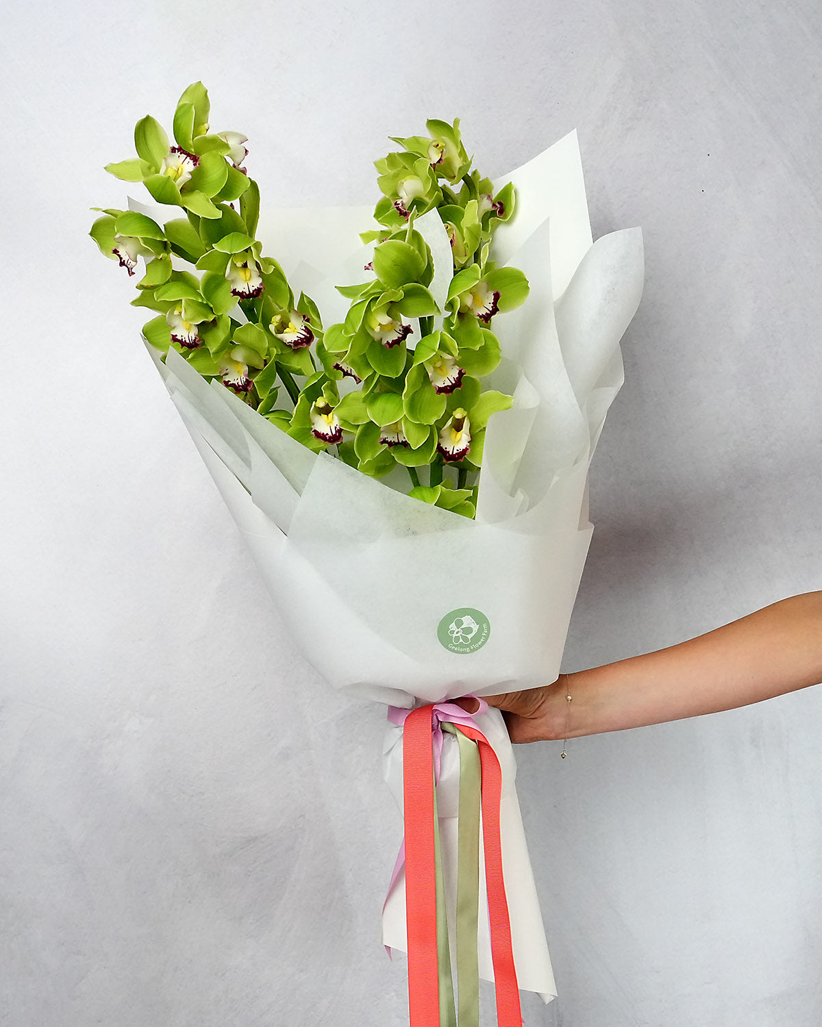 Cymbidium Orchid stem Geelong Flower Farm