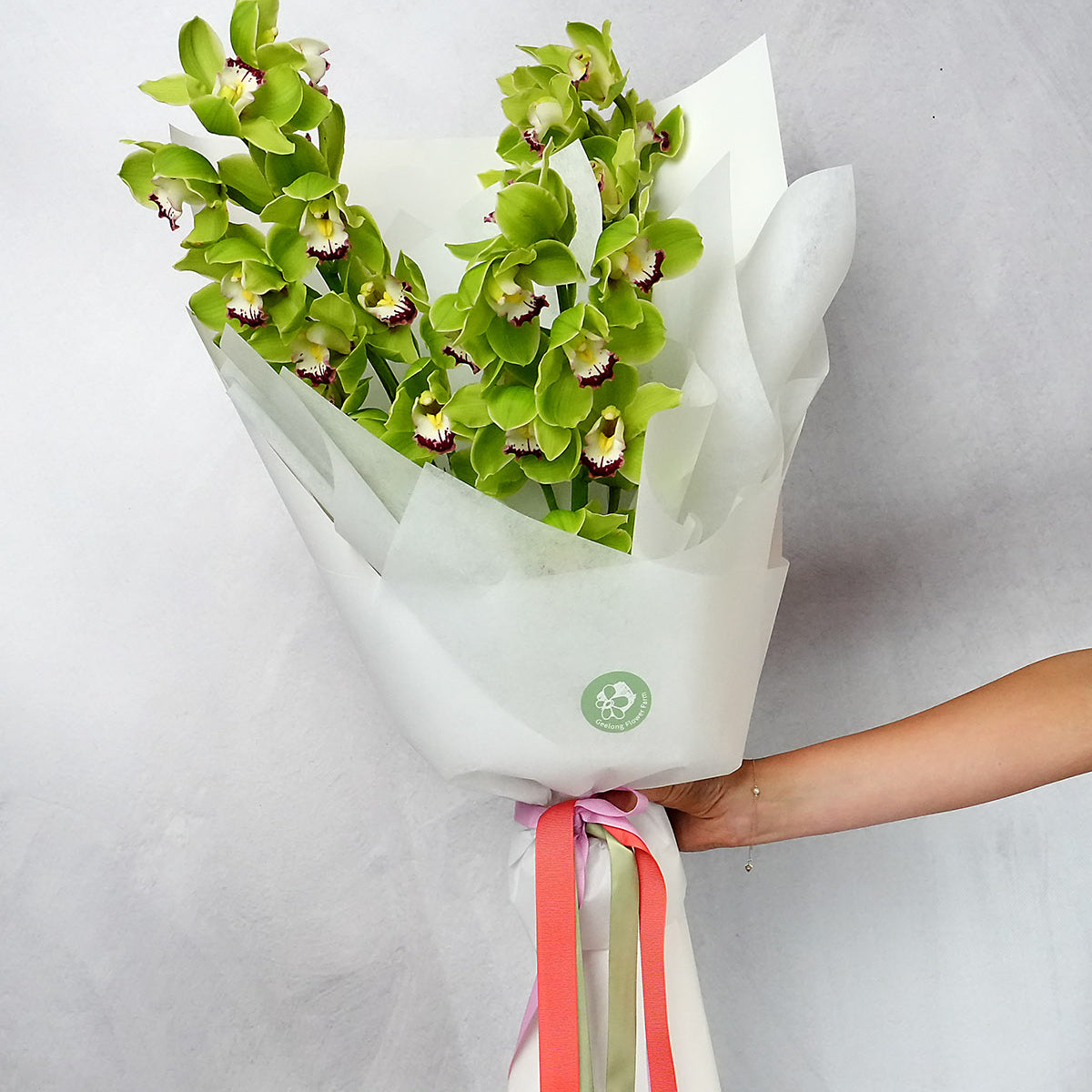 Cymbidium Orchid stem