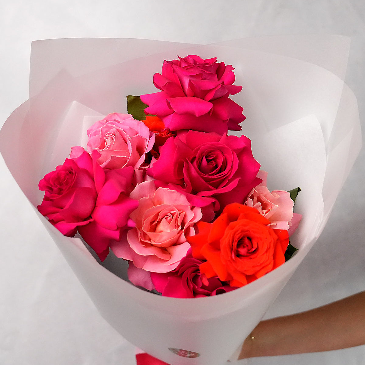 Reflexed Roses