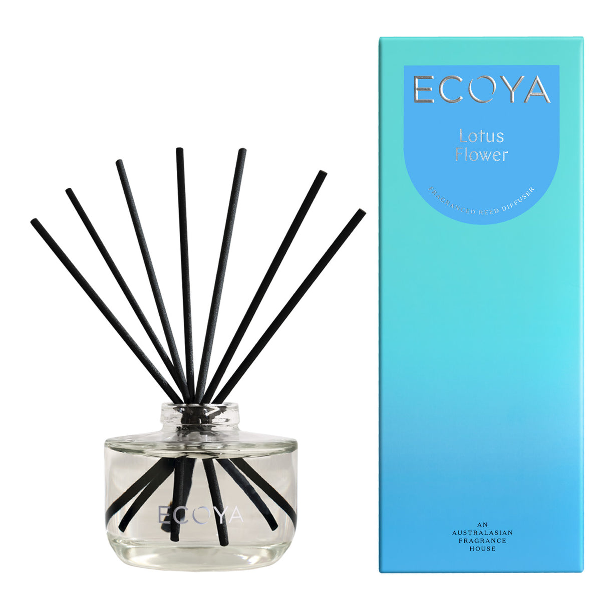 ECOYA Diffuser (large)