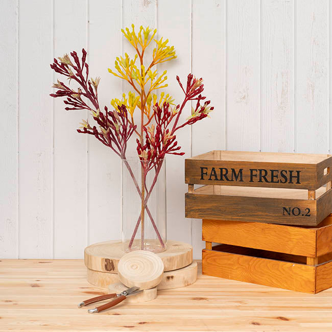 Medium Cylinder Glass Vase