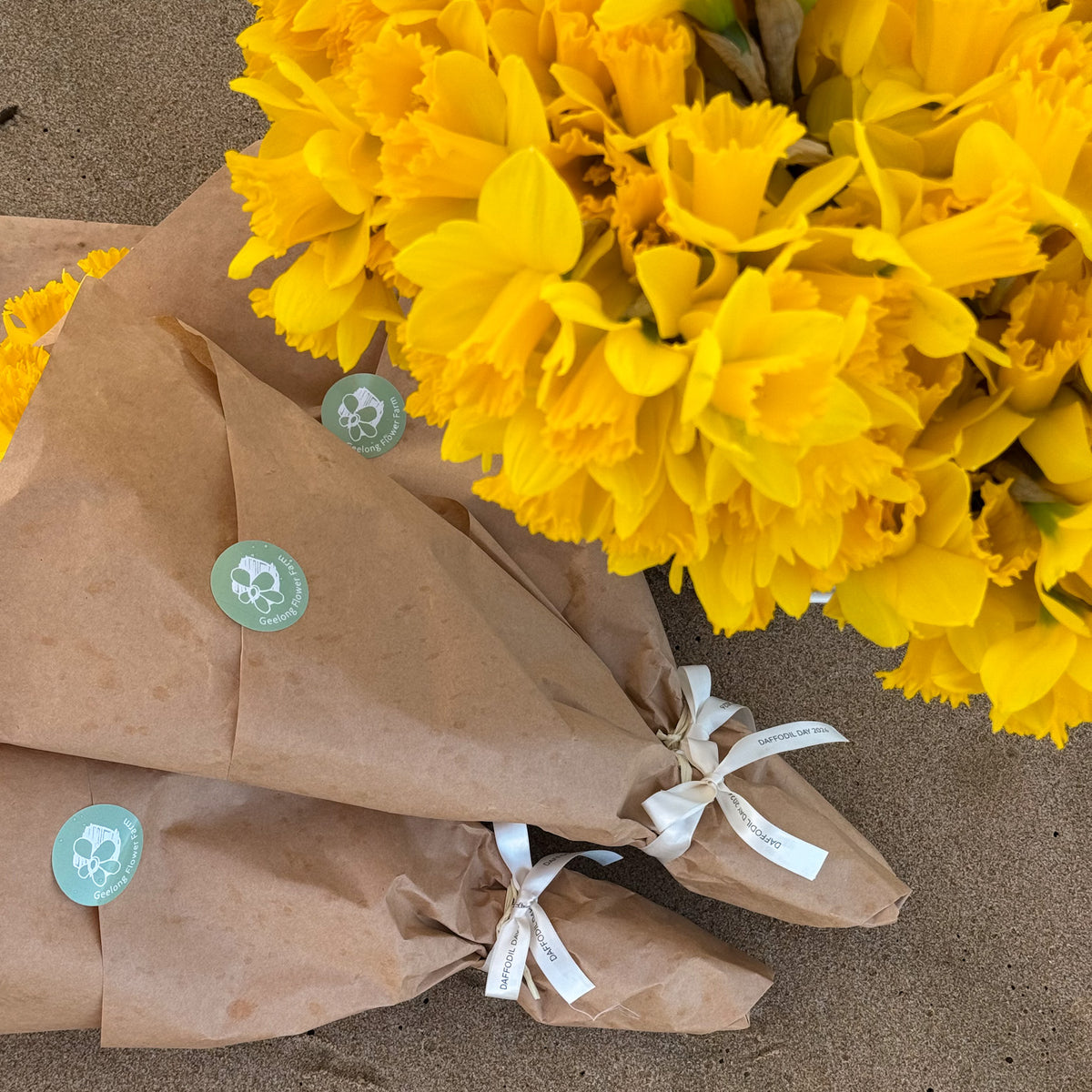 PRE-ORDER DAFFODIL DAY - Daffodil bunches