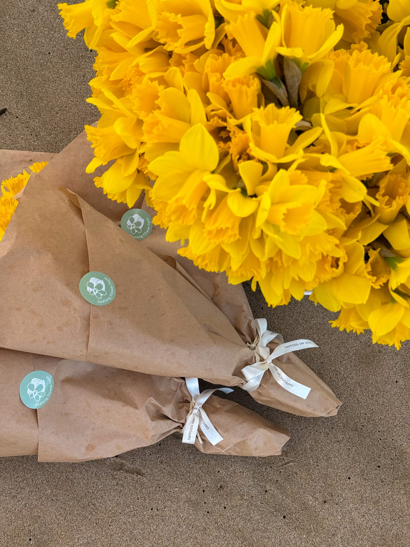 PRE-ORDER DAFFODIL DAY - Daffodil bunches