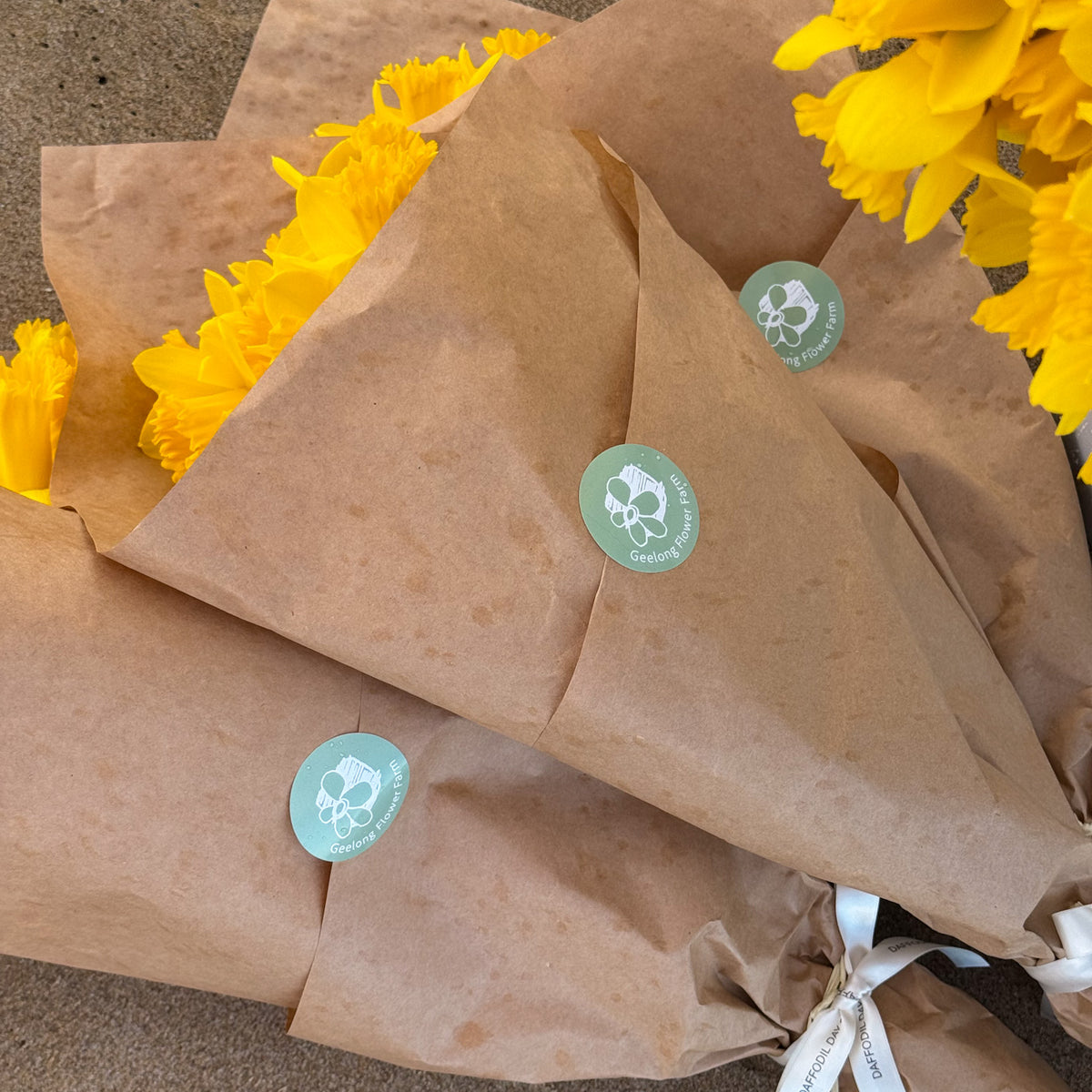 PRE-ORDER DAFFODIL DAY - Daffodil bunches