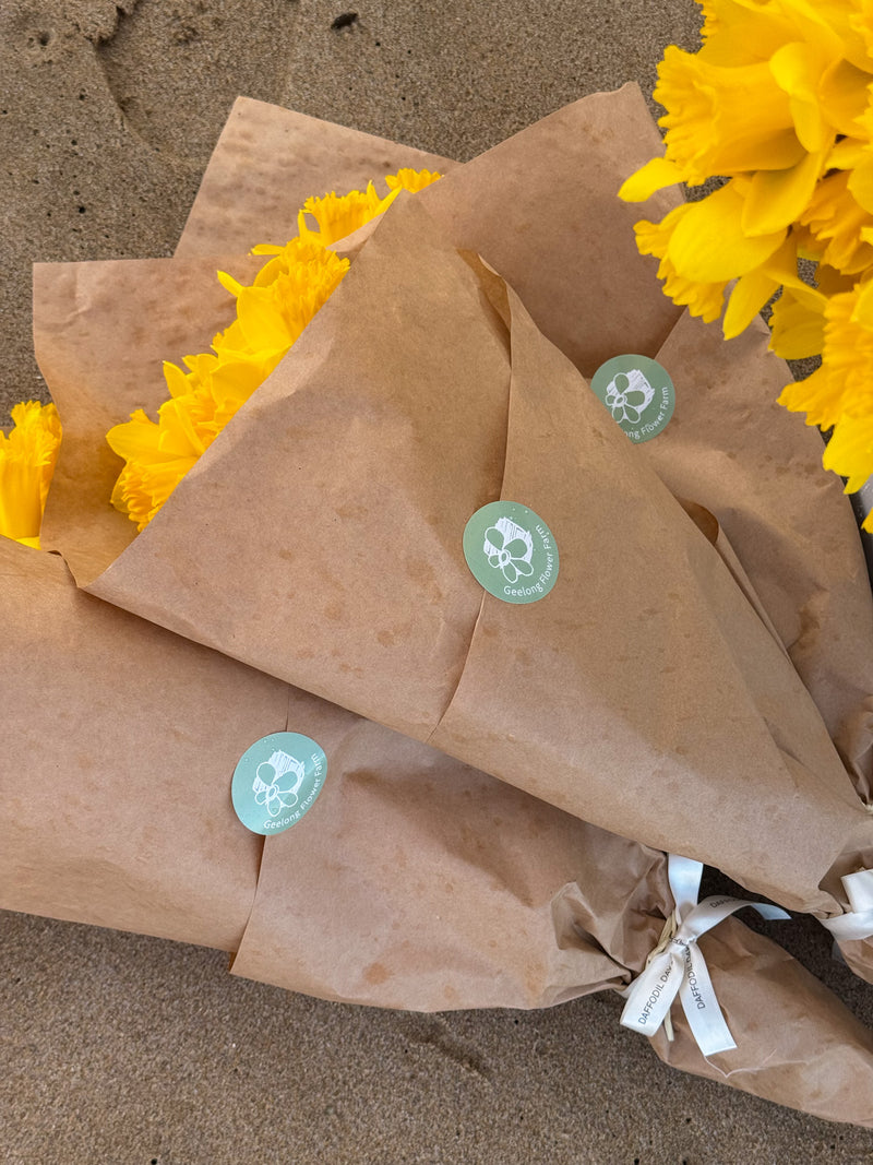 PRE-ORDER DAFFODIL DAY - Daffodil bunches