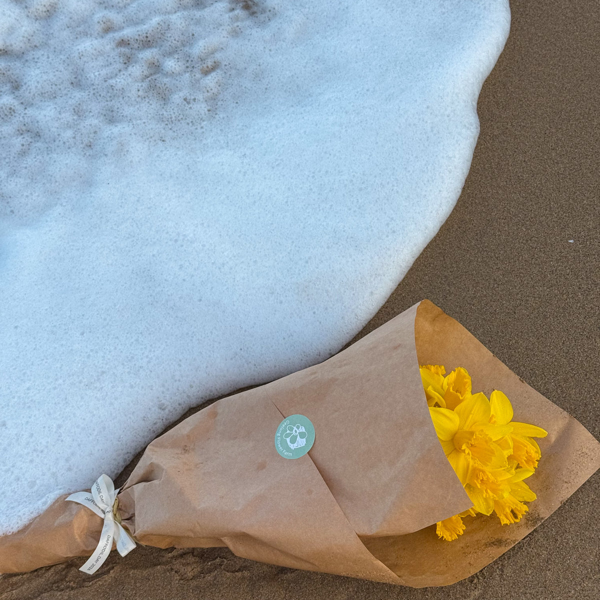 PRE-ORDER DAFFODIL DAY - Daffodil bunches