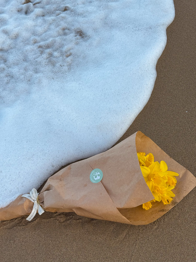 PRE-ORDER DAFFODIL DAY - Daffodil bunches