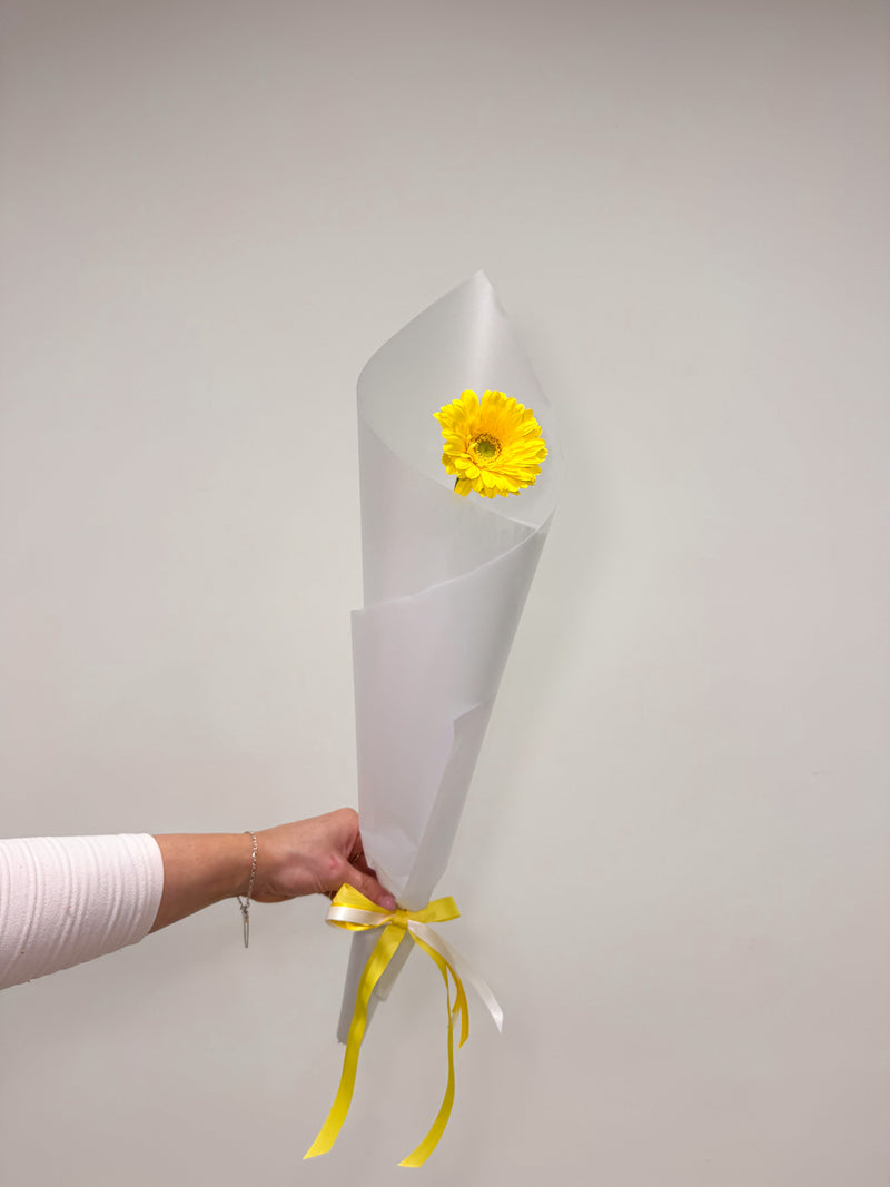 PRE ORDER// R U OK? Single Gerbera