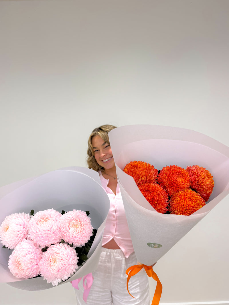 Disbuds Pom Pom Chrysanthemums