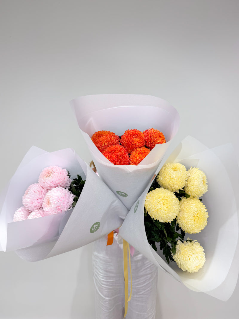 Disbuds Pom Pom Chrysanthemums