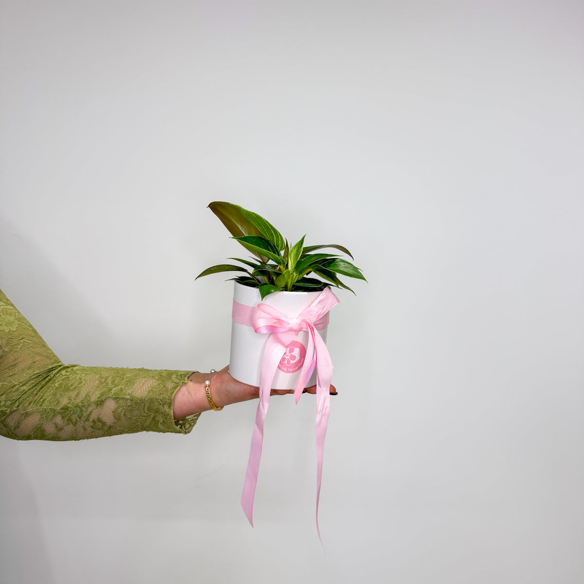 Grow Me