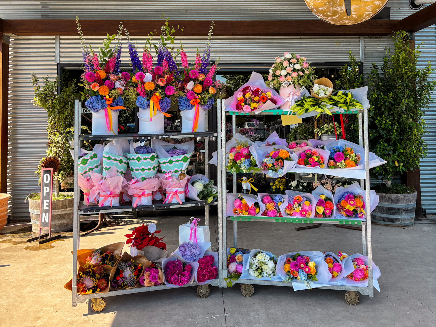 Image with text section