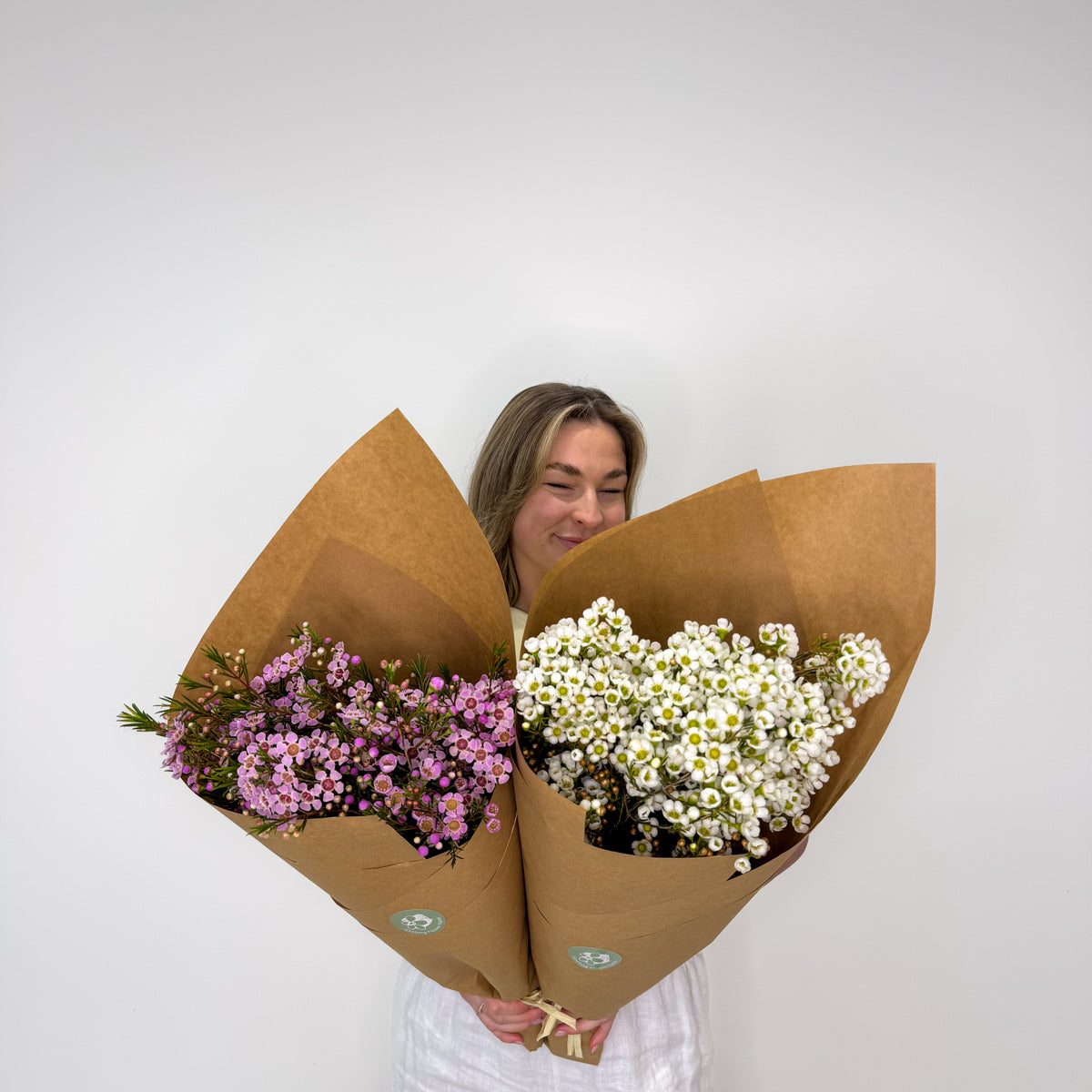 Geraldton Wax Flower