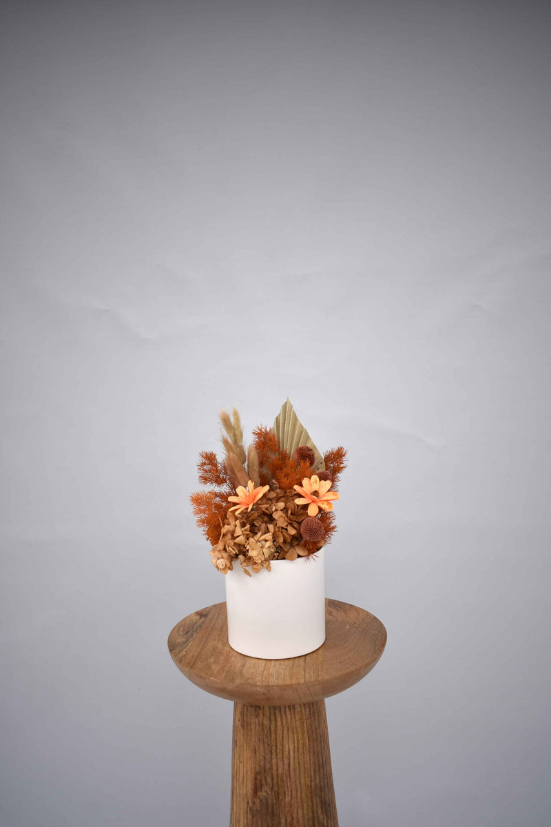 Dried Pot Arrangements