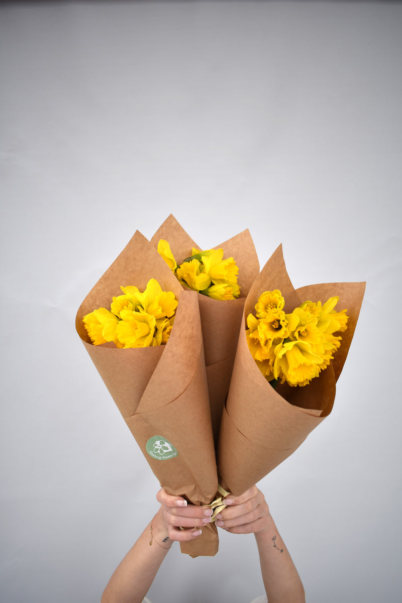 Daffodils