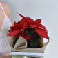 Poinsettia Perfection Box