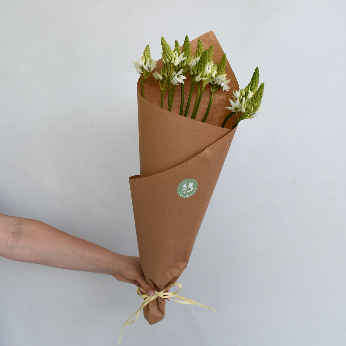 Chincherinchee